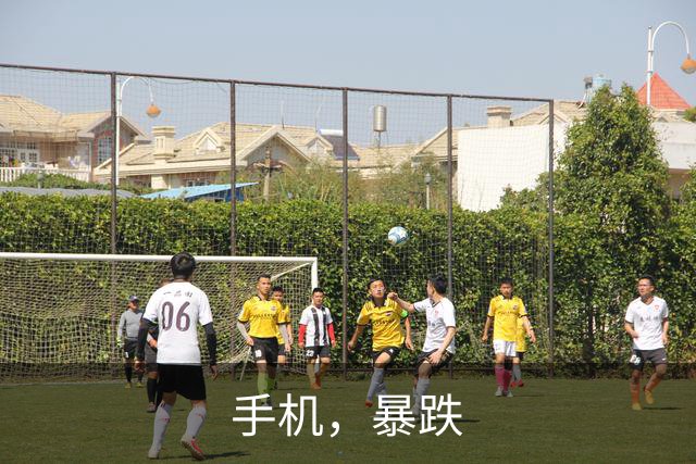 手机，暴跌